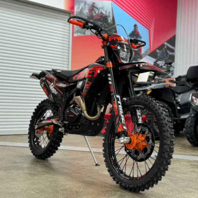 Кроссовый мотоцикл FAIDET PR300 MAX WP в Сургуте