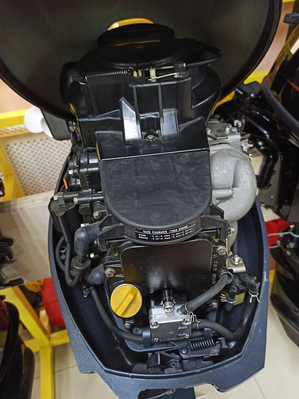 Лодочный мотор BREEZE F9,9S (4х тактный) в Сургуте