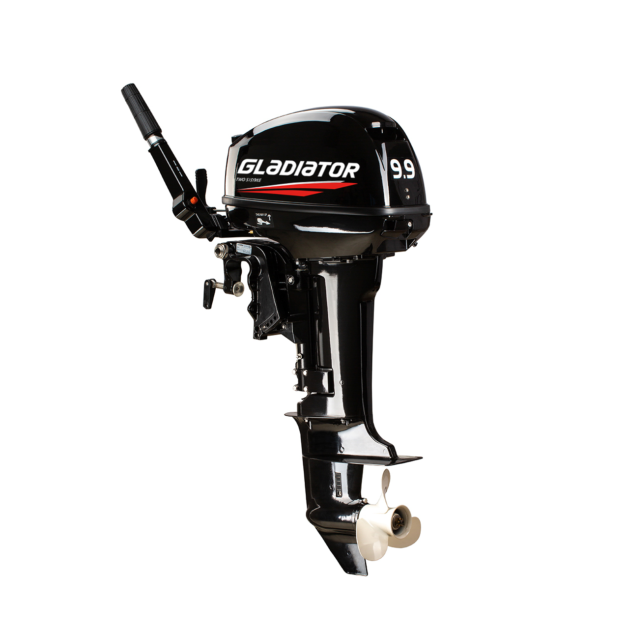 ЛОДОЧНЫЙ МОТОР GLADIATOR G9.9FHS в Сургуте