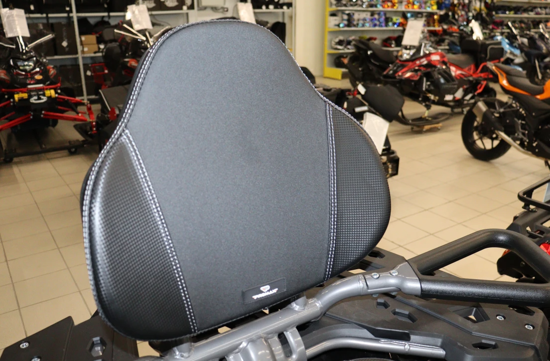 Квадроцикл PROMAX RENEGADE 300 LONG WINCH PRO (2025) в Сургуте