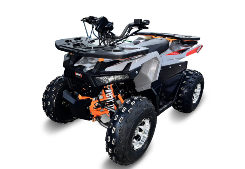 Квадроцикл GBM DAXTER 220 NEW PREMIUM в Сургуте