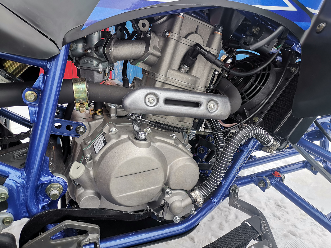 Квадроцикл PROMAX RAPTOR 300 NEW RedBull в Сургуте