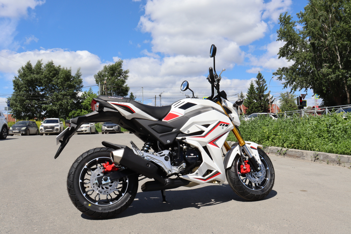 Мотоцикл PROMAX STRYKER 200(49) 2.0 в Сургуте