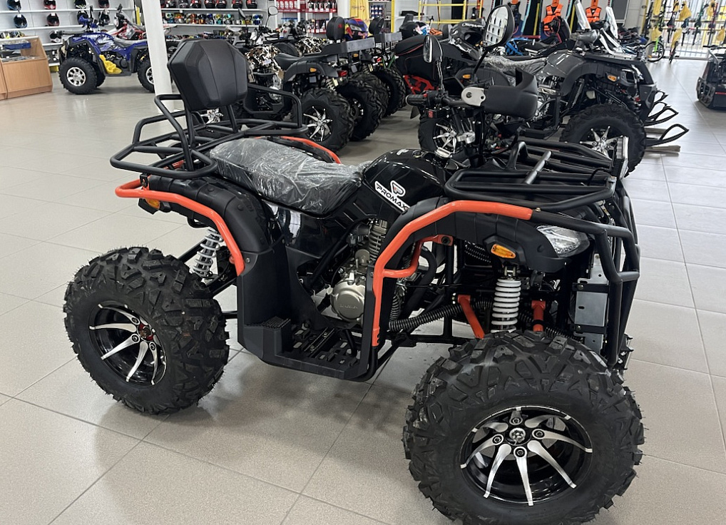 Квадроцикл PROMAX 300 4X4 ALL ROAD в Сургуте