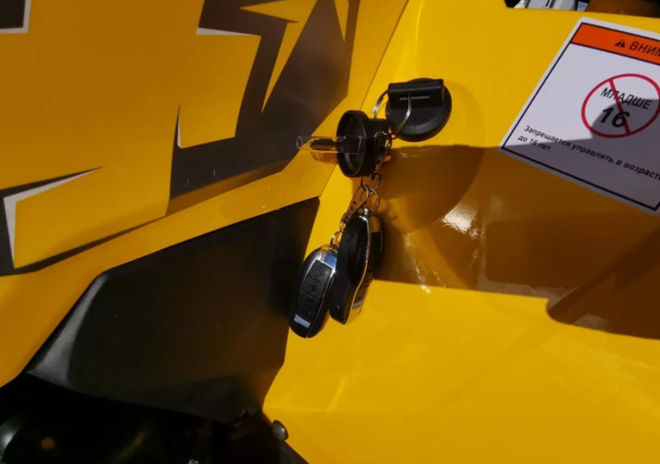 Квадроцикл MOTOLAND (МОТОЛЕНД) VOX200 WILD TRACK X PRO (баланс. вал) в Сургуте