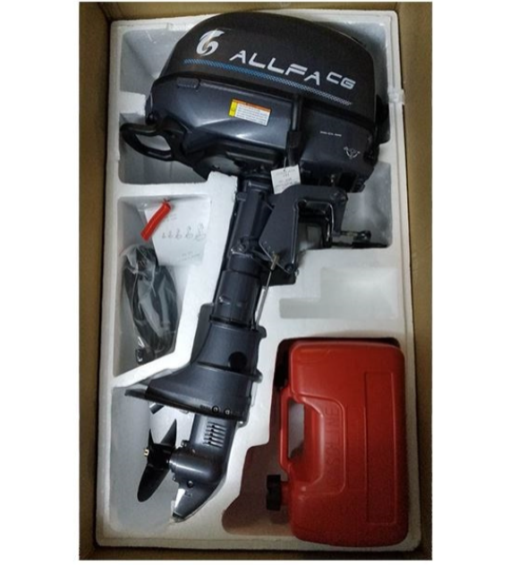 Лодочный мотор ALLFA CG F6 в Сургуте