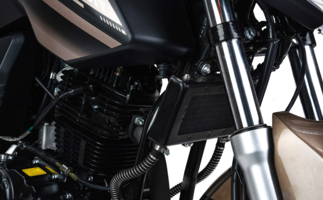 Мотоцикл MOTOLAND (МОТОЛЕНД) 300 BANDIT в Сургуте