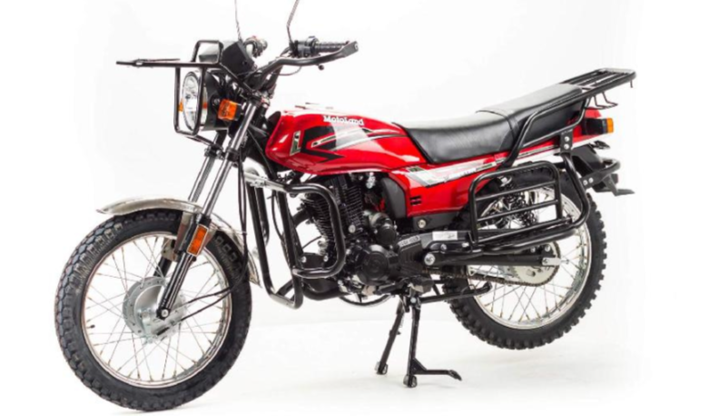 Мотоцикл MOTOLAND (МОТОЛЕНД) FORESTER LITE 200 в Сургуте