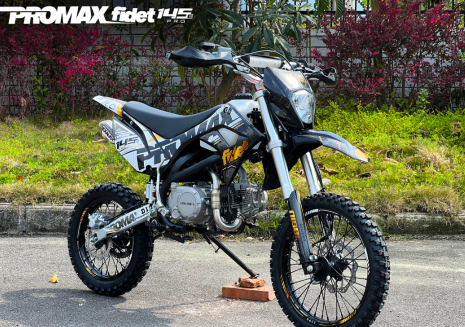 Мотоцикл (питбайк) PROMAX FIDET (ФАЙДЕТ) 145E PRO 17/14 в Сургуте