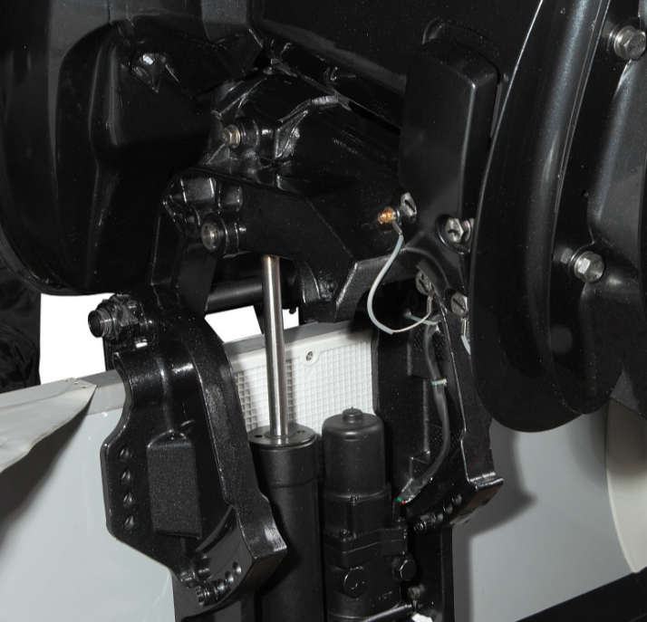 Лодочный мотор MARLIN MP 40 AERTL в Сургуте