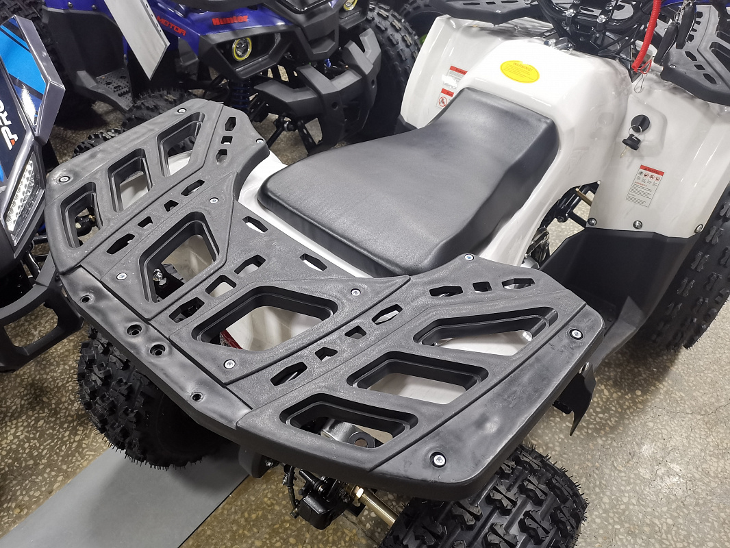 Квадроцикл PROMAX WILD 175 LUX в Сургуте