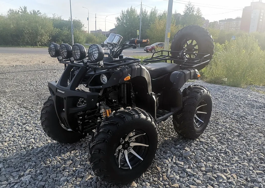 Квадроцикл PROMAX LEO 300 Max (кардан) в Сургуте