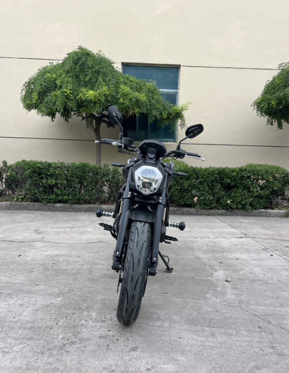 Мотоцикл TMBK Diablo 650cc EFI, ABS в Сургуте