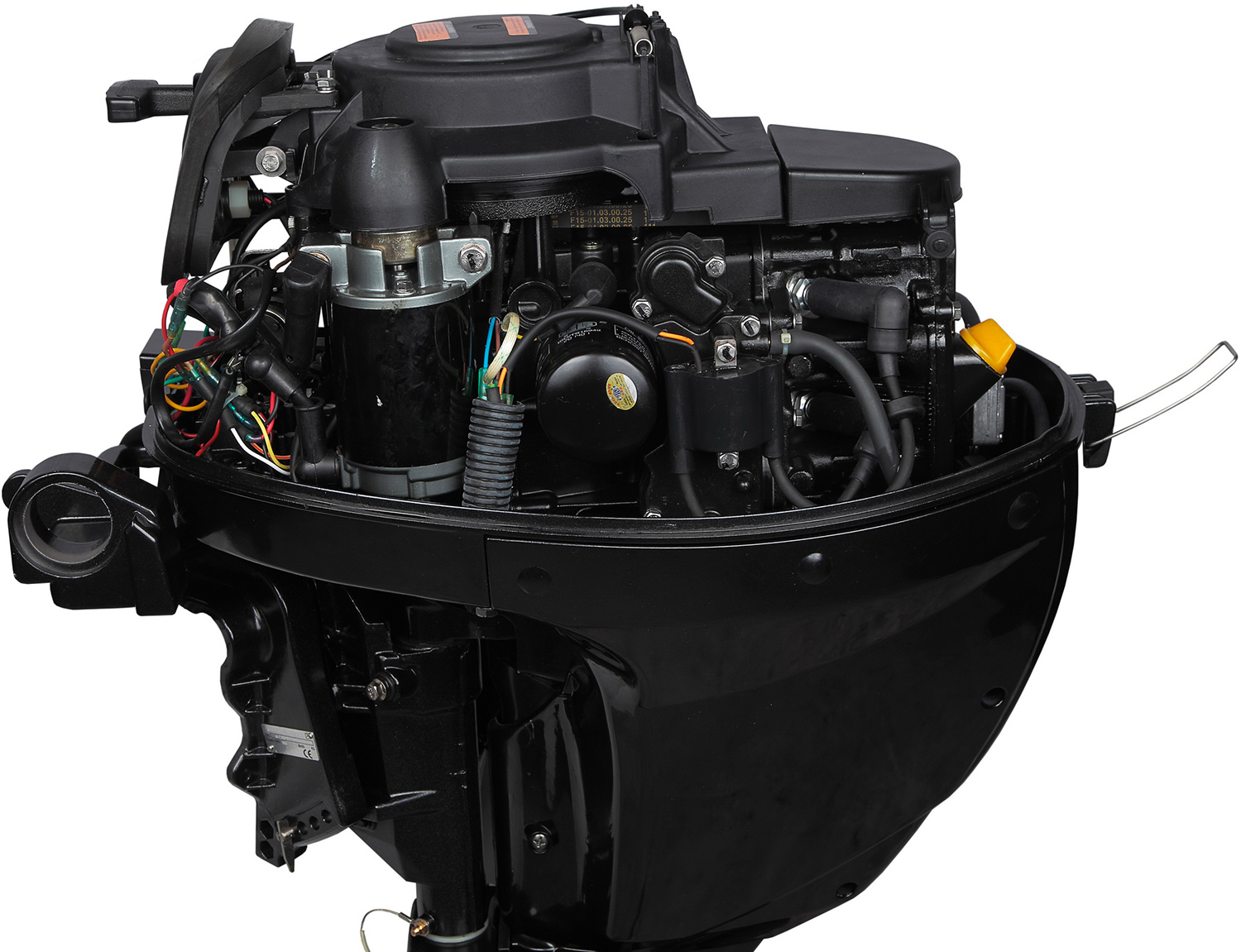 Лодочный мотор MARLIN MF 9.9 AMHL в Сургуте