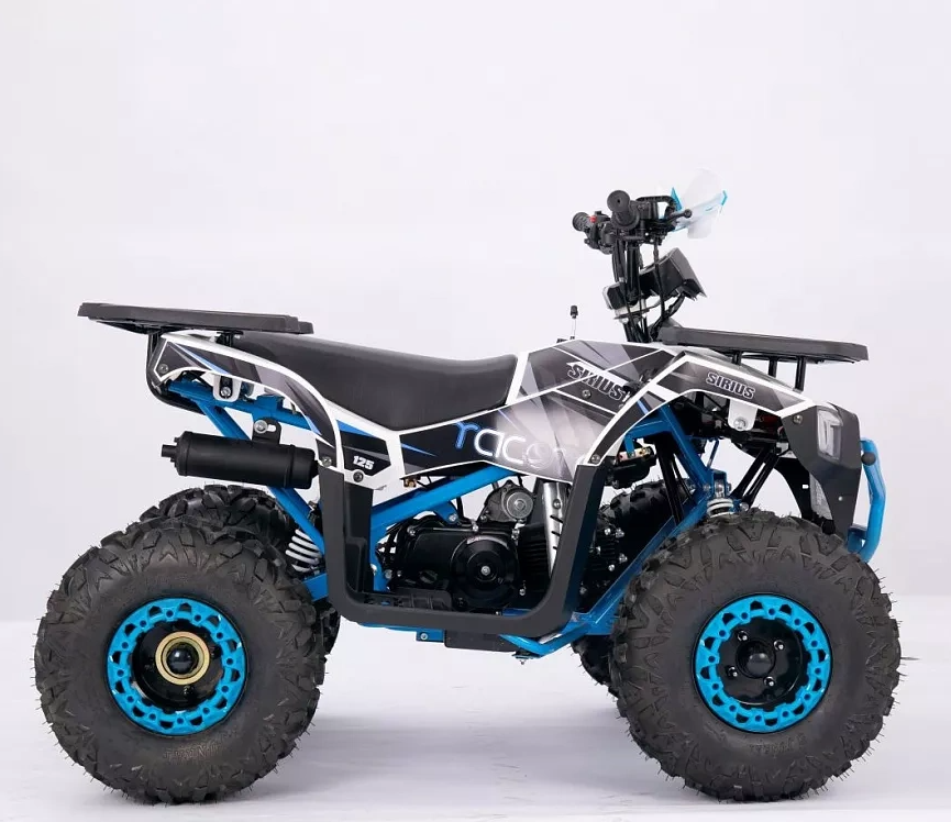 Квадроцикл YACOTA SIRIUS 110 в Сургуте