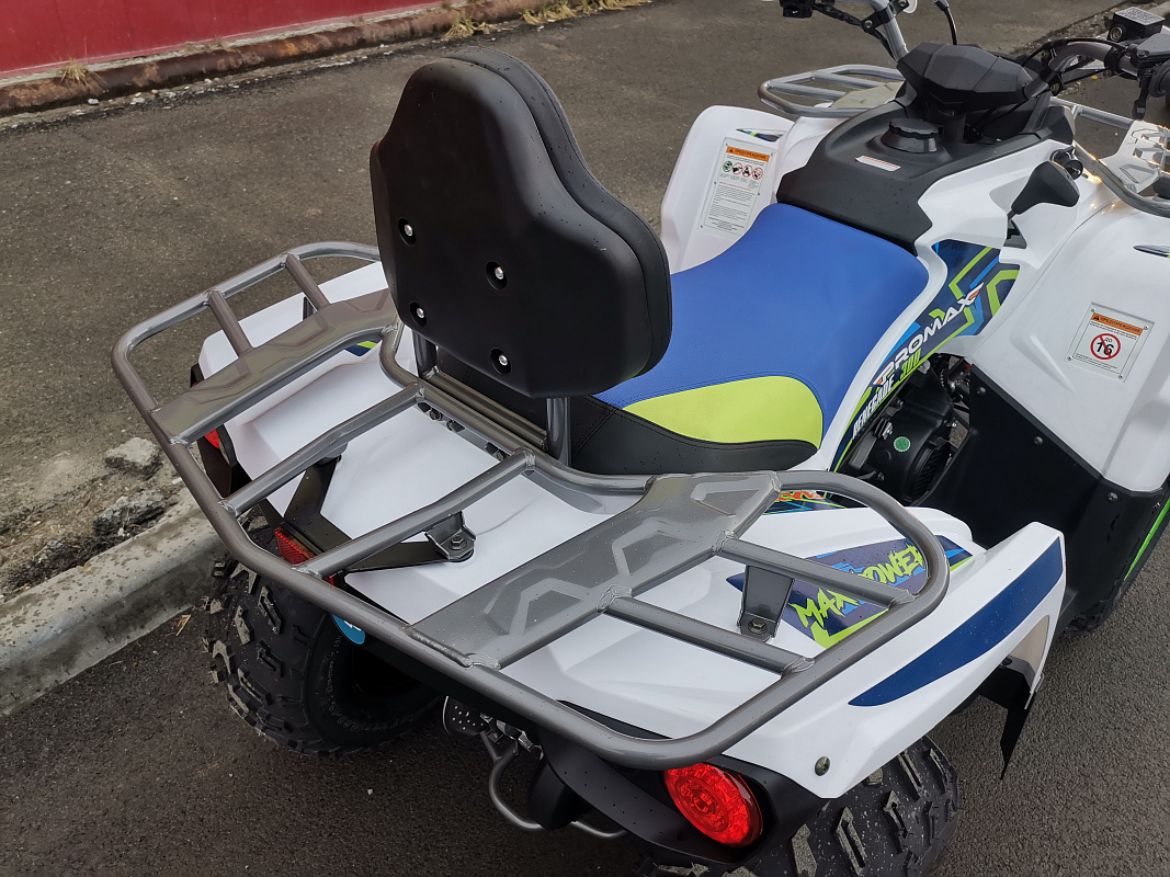 Квадроцикл PROMAX RENEGADE 280 LUX (2025) в Сургуте