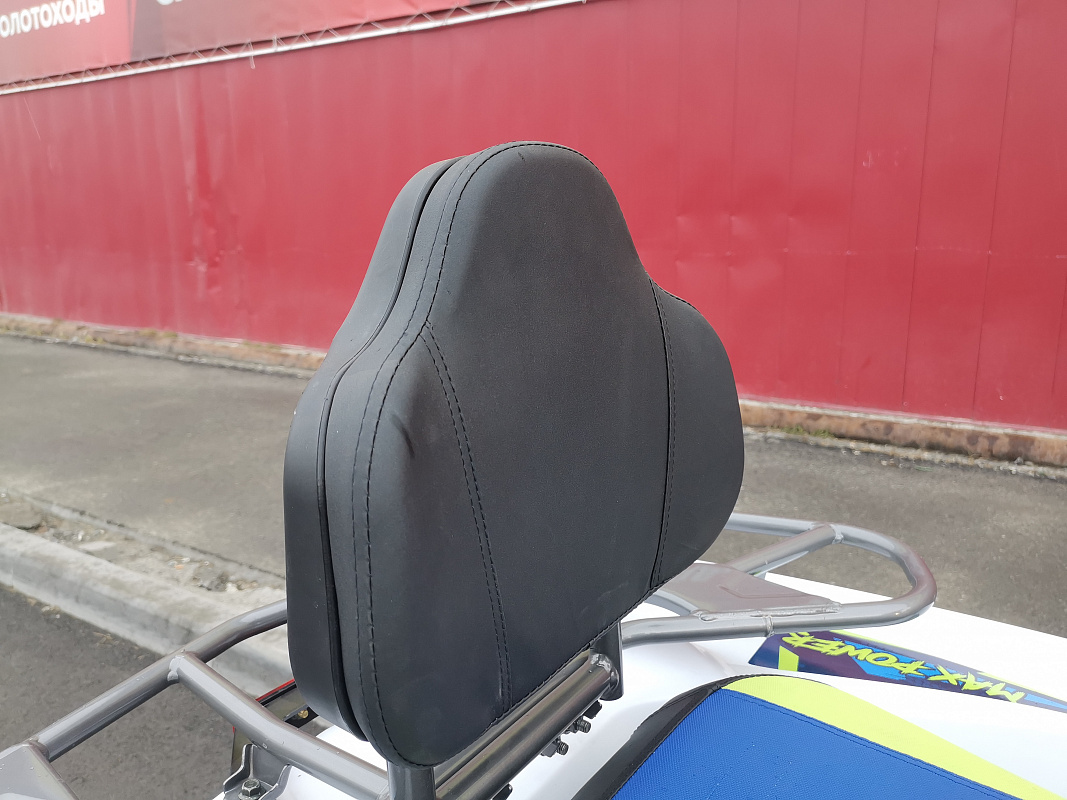 Квадроцикл PROMAX RENEGADE 280 LUX (2025) в Сургуте