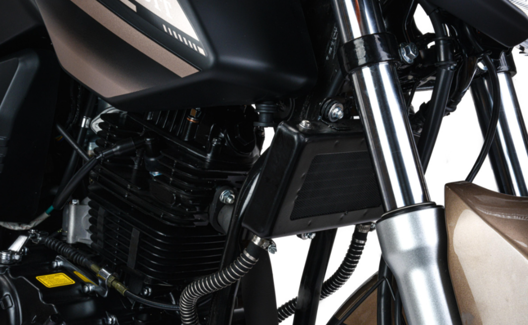 Мотоцикл MOTOLAND (МОТОЛЕНД) 300 BANDIT в Сургуте