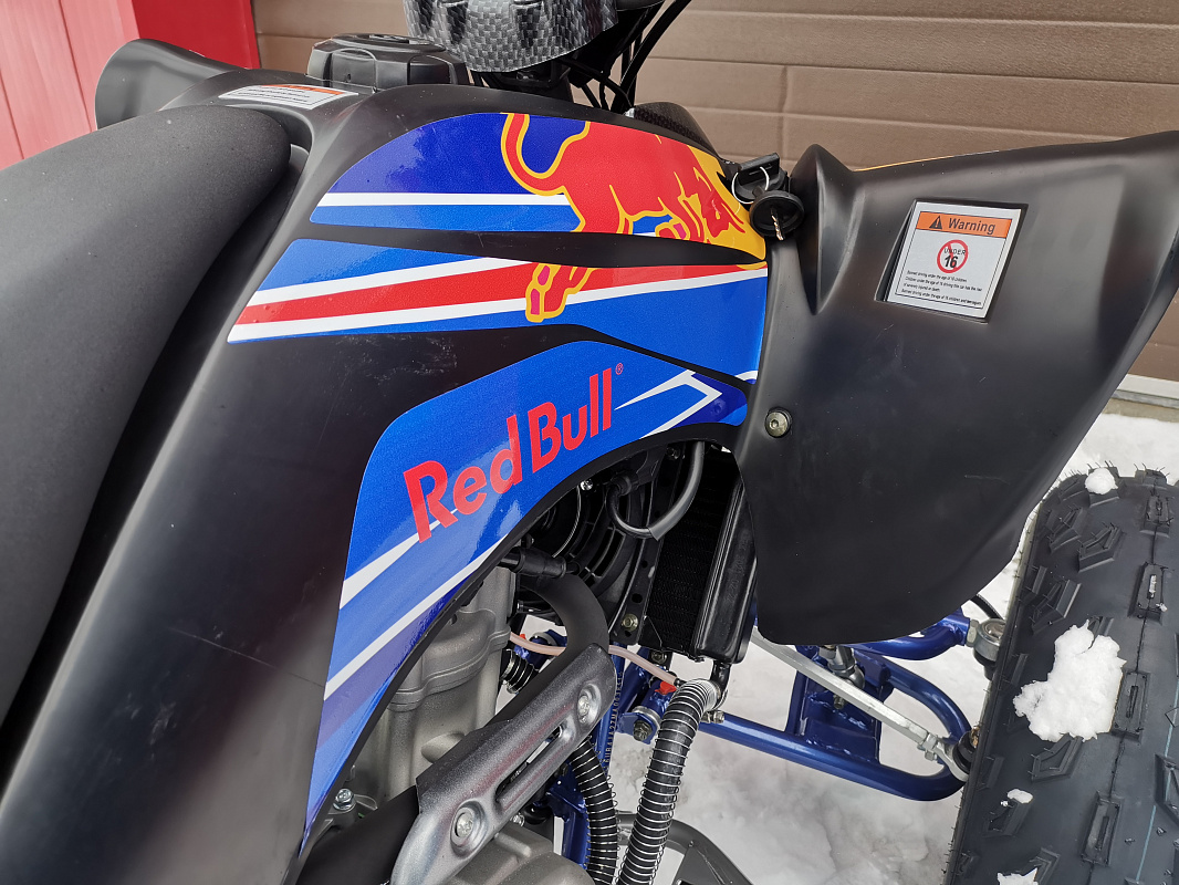 Квадроцикл PROMAX RAPTOR 300 NEW RedBull в Сургуте