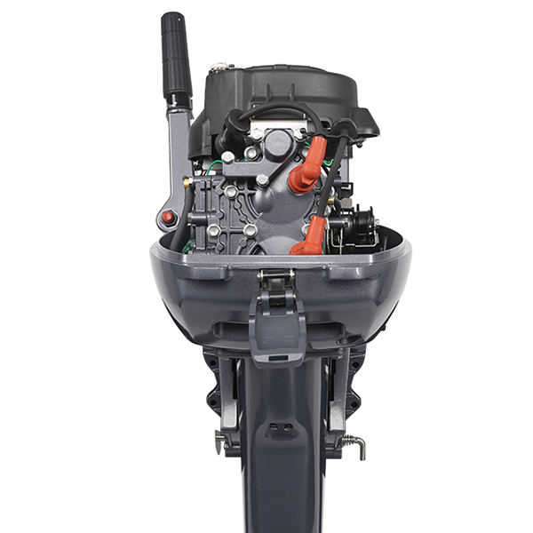 ЛОДОЧНЫЙ МОТОР ALLFA CG Т9,9 в Сургуте