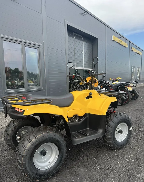 КВАДРОЦИКЛ IRBIS ATV 250  в Сургуте