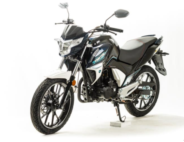 Мотоцикл MOTOLAND (МОТОЛЕНД) FIGHTER 250 в Сургуте