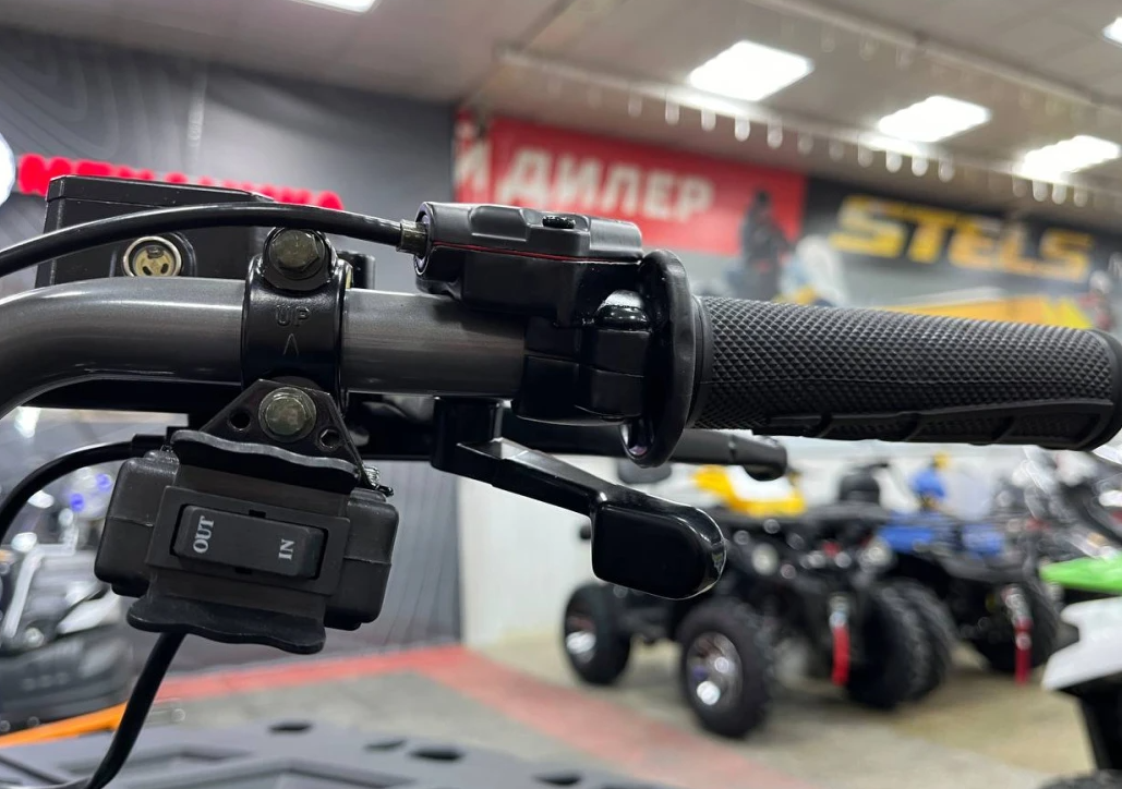 Квадроцикл PROMAX RENEGADE 300 LONG WINCH PRO (2025) в Сургуте