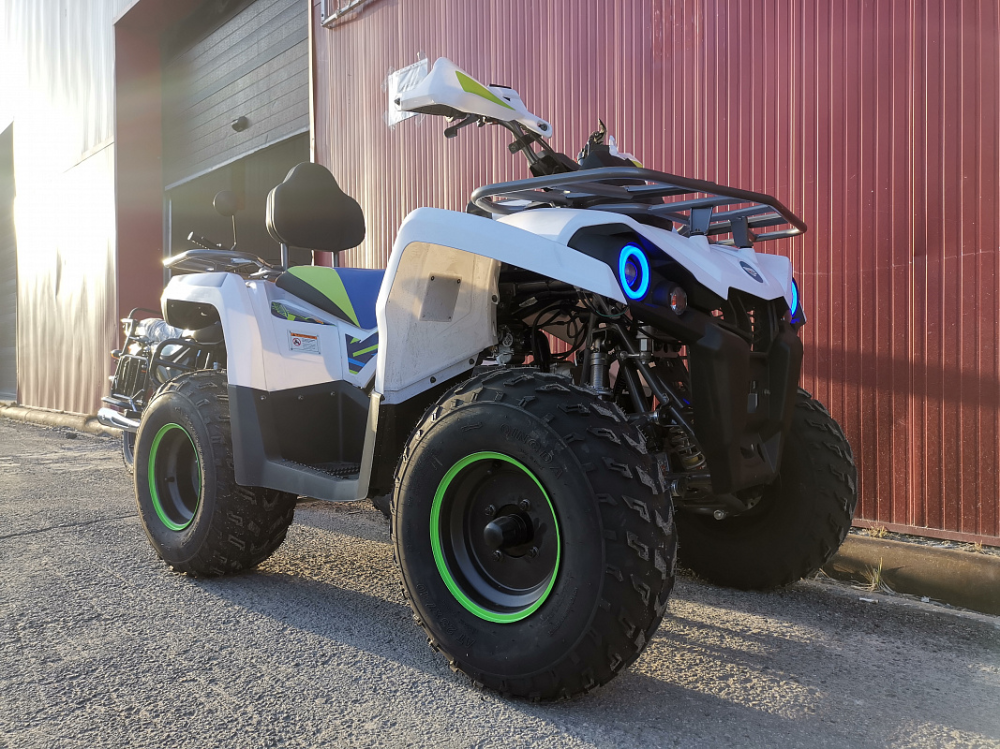Квадроцикл PROMAX RENEGADE 280 LUX (2025) в Сургуте