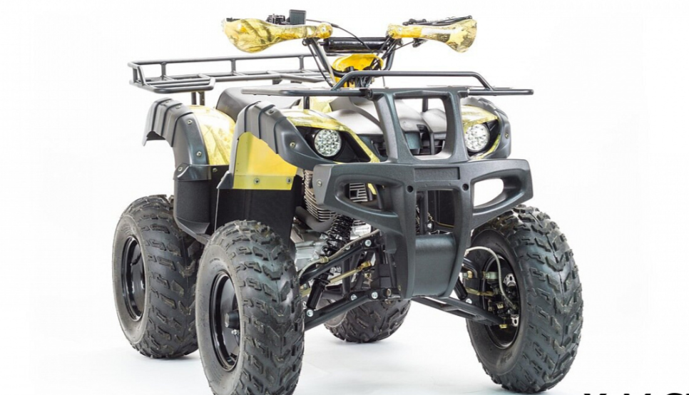 Квадроцикл MOTOLAND (МОТОЛЕНД) 250 ADVENTURE в Сургуте