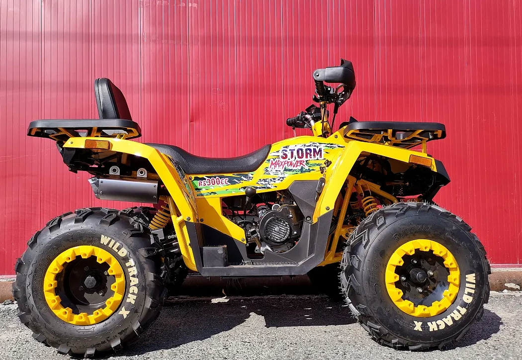 Квадроцикл PROMAX STORM 280 LUX в Сургуте