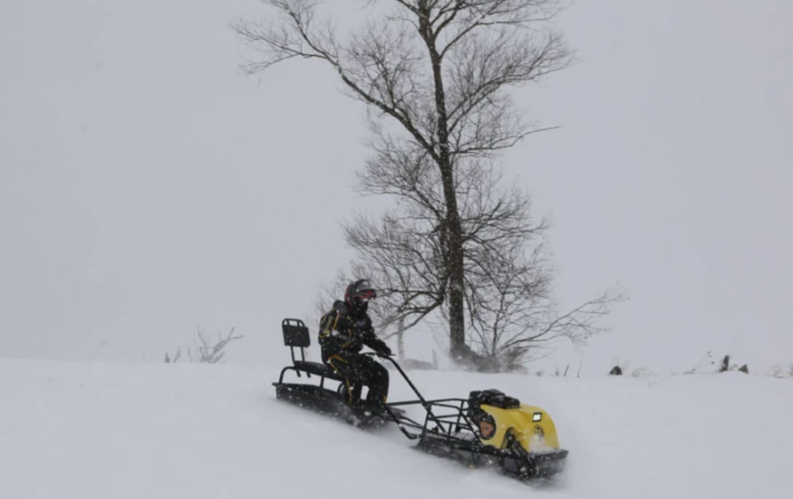 Мотобуксировщик РЫБАК PKD. PSD 20 л.с. (длинная база 1430мм) в Сургуте