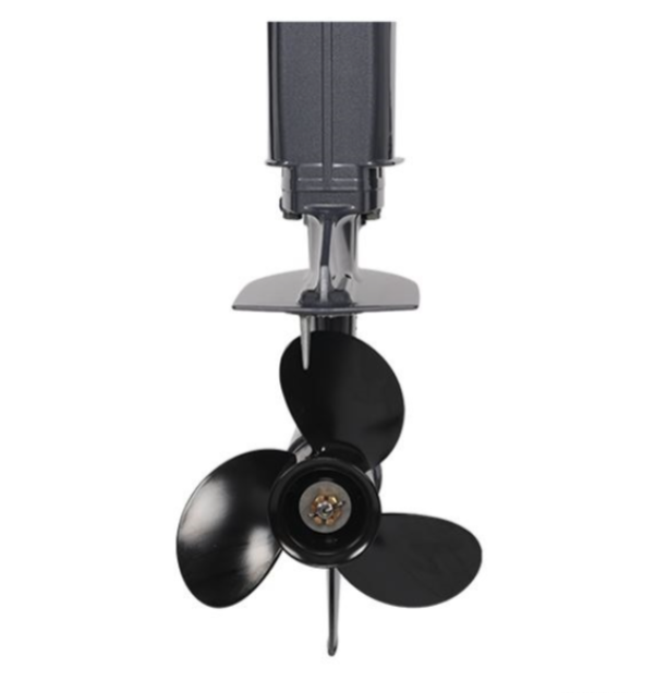 Лодочный мотор ALLFA CG Т40FW S в Сургуте