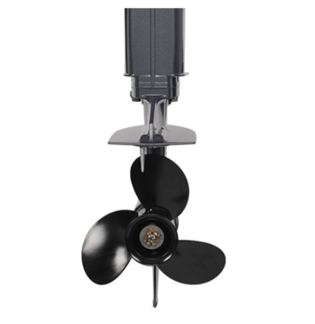 Лодочный мотор ALLFA CG Т40FWT S в Сургуте