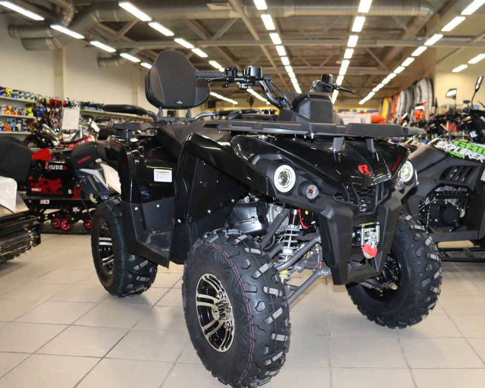 Квадроцикл PROMAX RENEGADE 300 LONG WINCH PRO (2025) в Сургуте