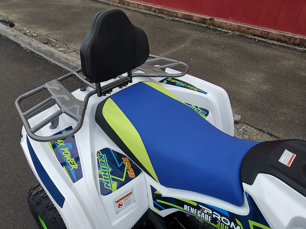 Квадроцикл PROMAX RENEGADE 280 LUX (2025) в Сургуте