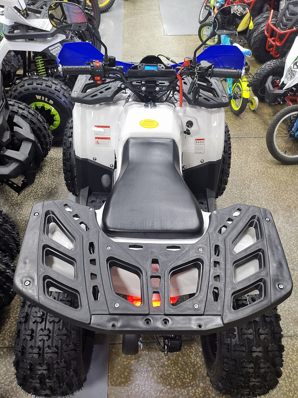 Квадроцикл PROMAX WILD 175 LUX в Сургуте
