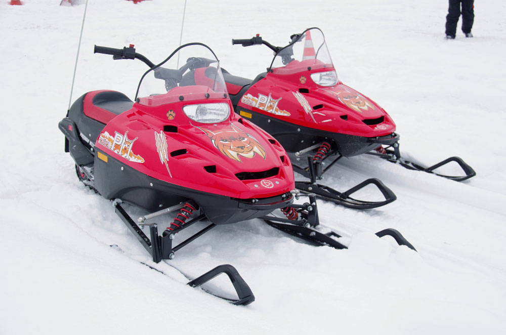 Снегоход РМ ТАЙГА РЫСЬ в Сургуте