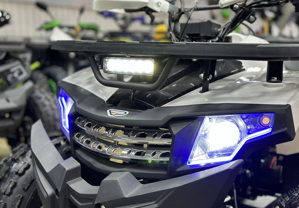 Квадроцикл PROMAX WILD 2.0 190 в Сургуте