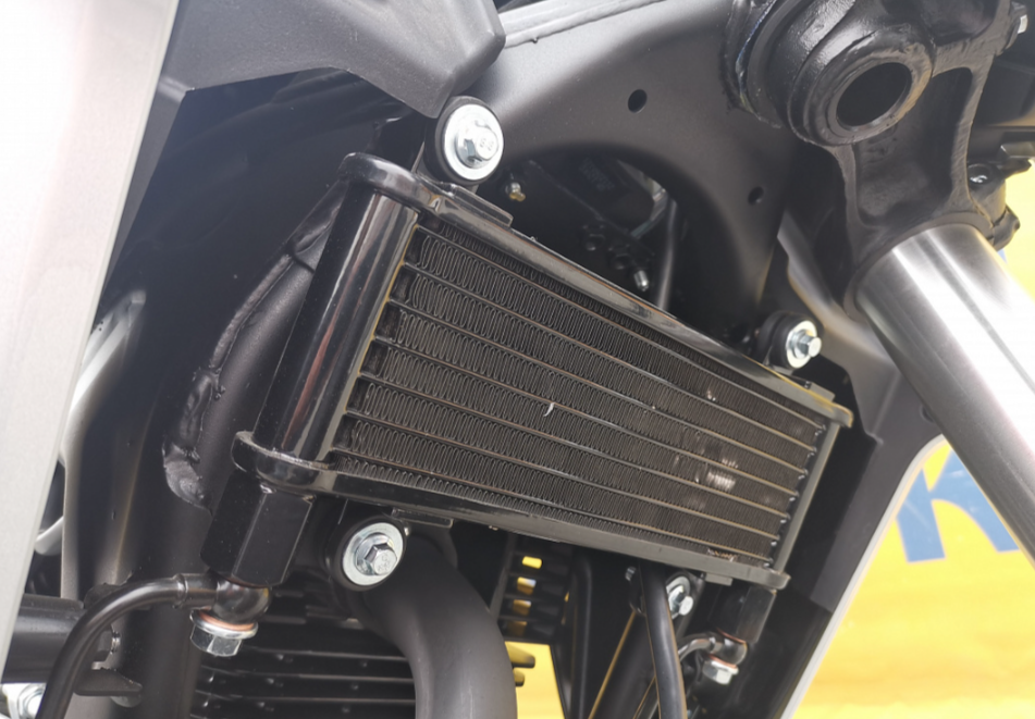 Мотоцикл MOTOLAND (МОТОЛЕНД) 250 CB250 (172FMM-5/PR250) (2022 г.) в Сургуте