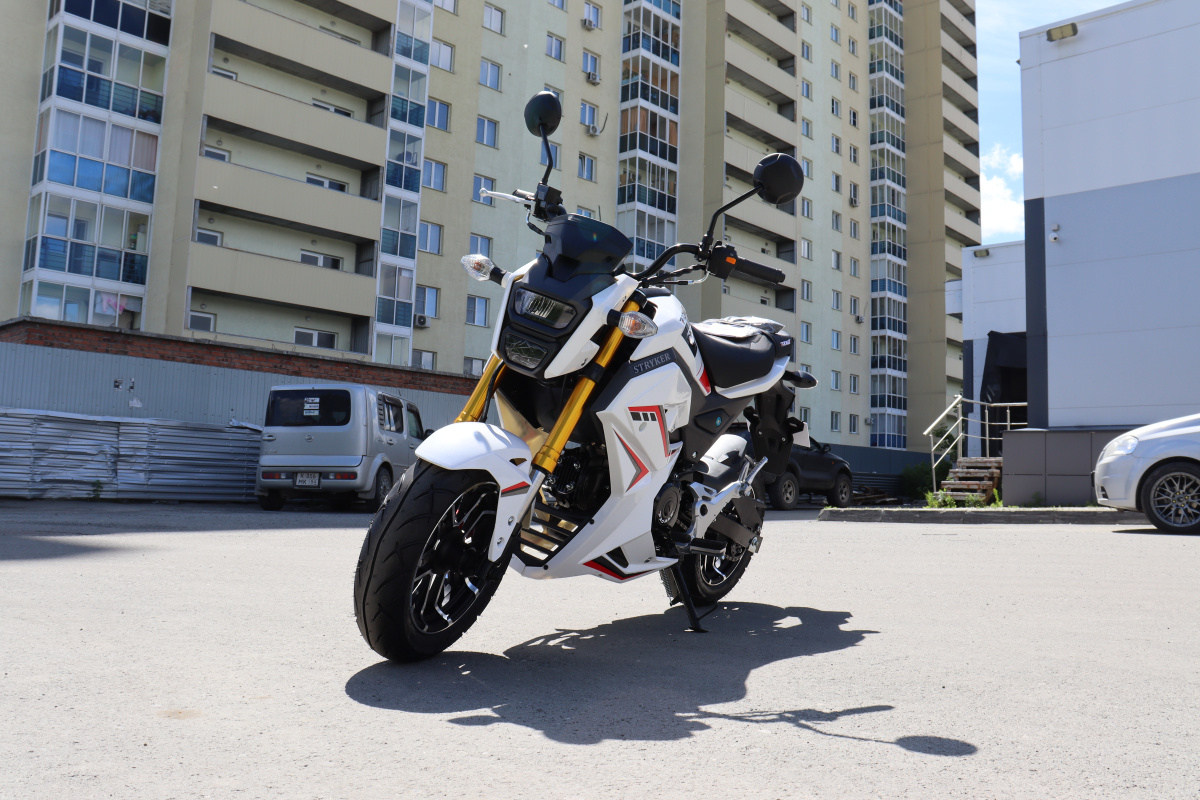 Мотоцикл PROMAX STRYKER 200(49) 2.0 в Сургуте