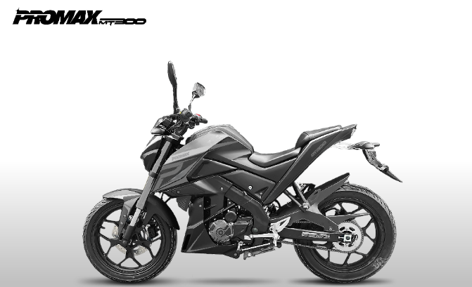 Мотоцикл PROMAX MT300 в Сургуте