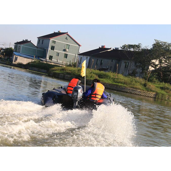 ЛОДОЧНЫЙ МОТОР ALLFA CG Т20 в Сургуте