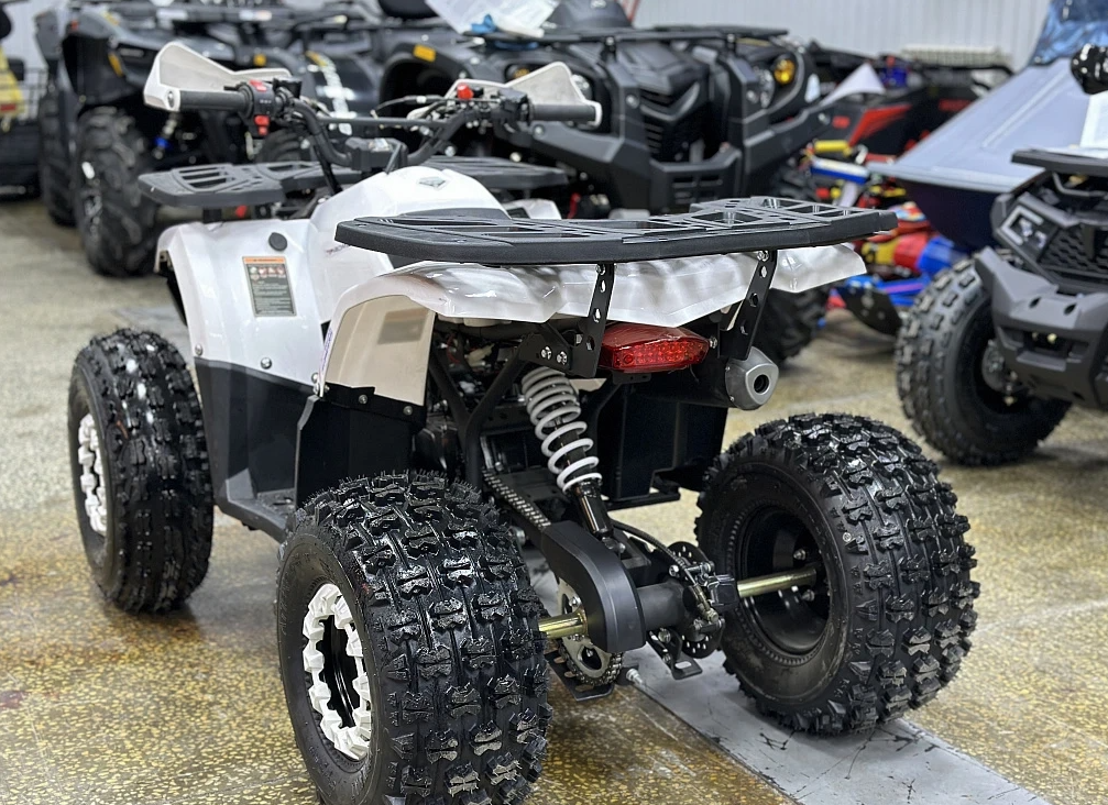 Квадроцикл PROMAX WILD 2.0 190 в Сургуте