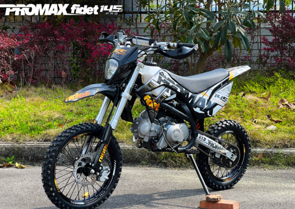 Мотоцикл (питбайк) PROMAX FIDET (ФАЙДЕТ) 145E PRO 17/14 в Сургуте