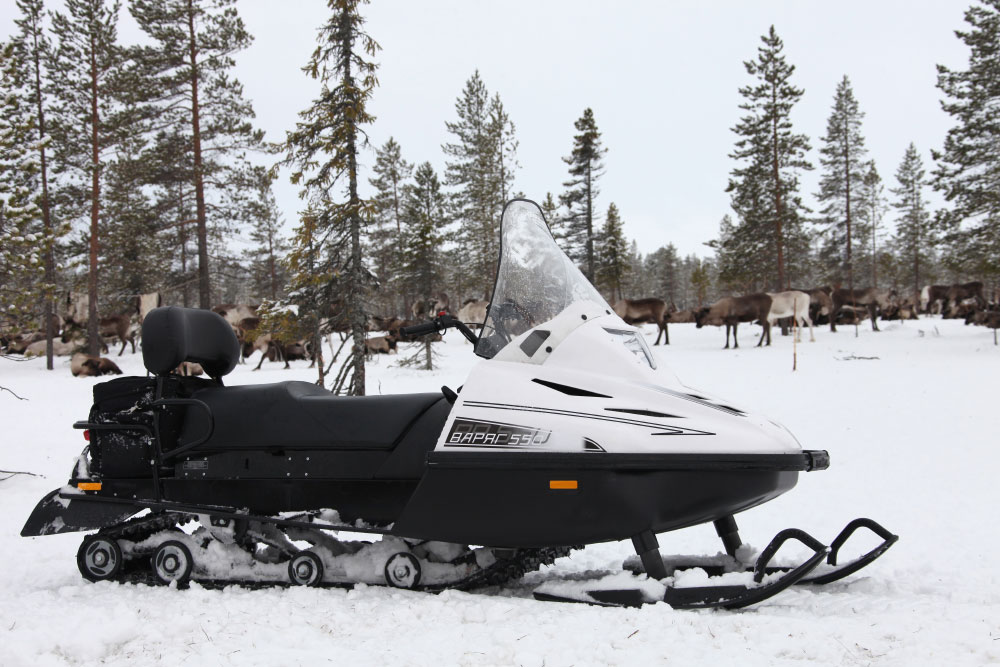 СНЕГОХОД РМ ТАЙГА ВАРЯГ 550 V в Сургуте