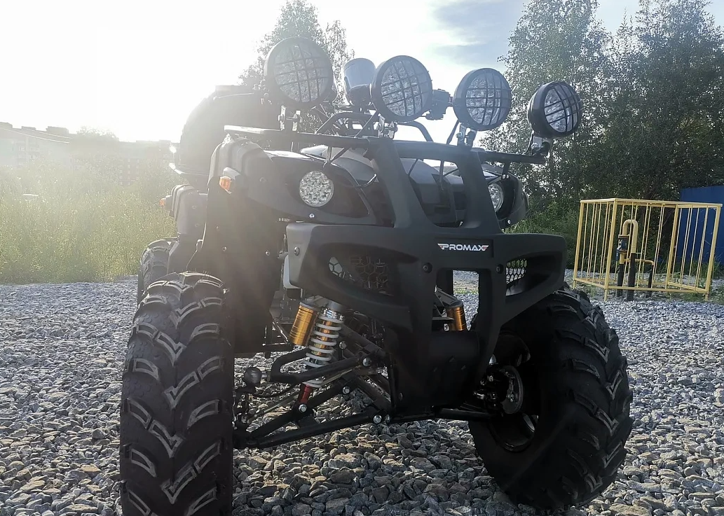 Квадроцикл PROMAX LEO 300 Max (кардан) в Сургуте
