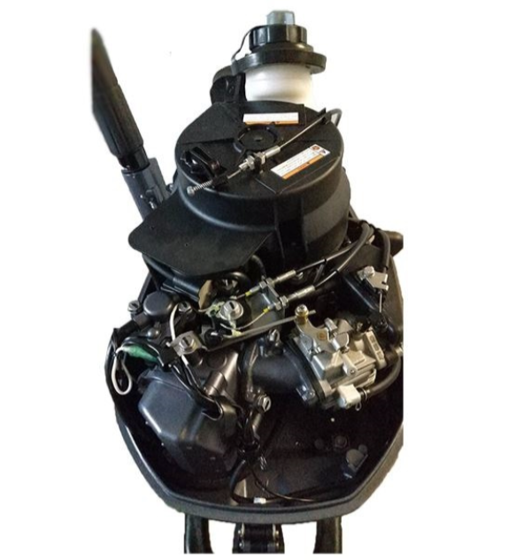 Лодочный мотор ALLFA CG F6 в Сургуте