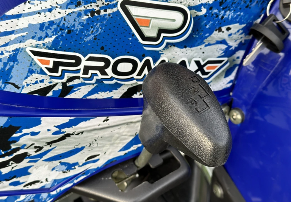  Квадроцикл PROMAX ATV 250 MAX (2025) в Сургуте