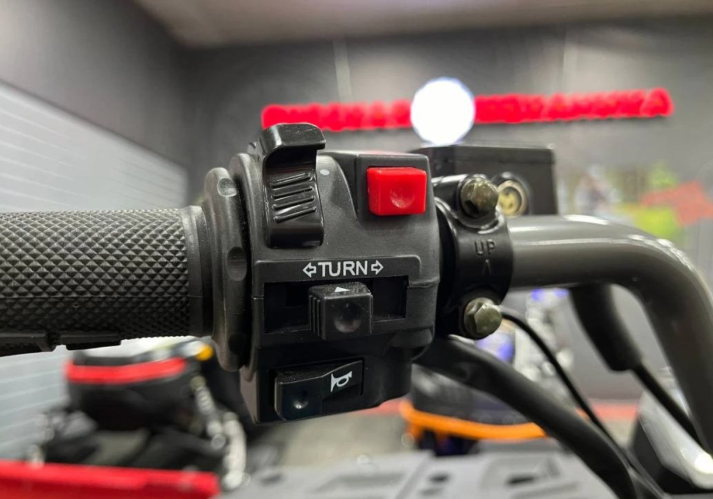 Квадроцикл PROMAX RENEGADE 300 LONG WINCH PRO (2025) в Сургуте