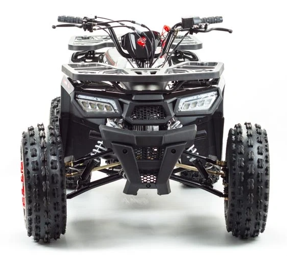 Квадроцикл PROMAX WILD 175 в Сургуте